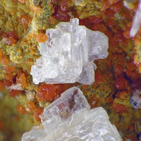 Calomel de Mariposa Mine, Texas, USA © Robert O. Meyer