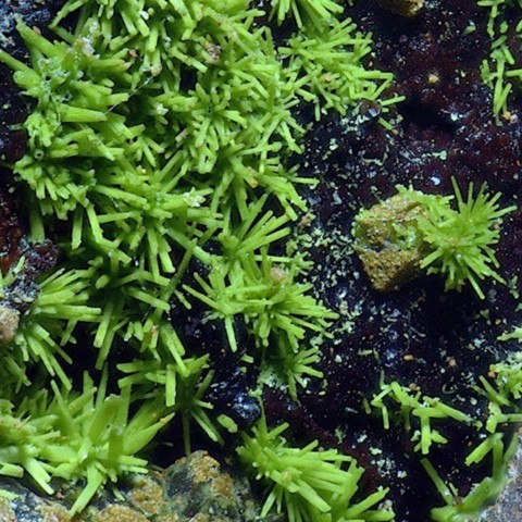 Chénevixite de Christiana Mine, Laurion, Grèce © Fritz Schreiber