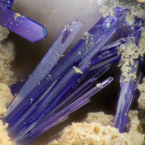 Elyite de Bréziès, Asprières, Aveyron, Occitanie, France © Serge Lavarde