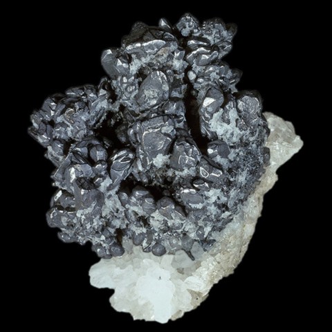 Hessite et quartz de 9 cm de Botesti, Zlatna, Roumanie © Rock Currier