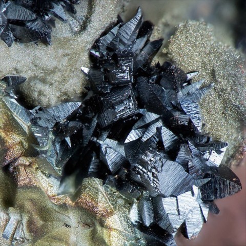 Hétérolite de Carnahan Mine, Nouveau-Mexique, USA © Michael C. Michayluk