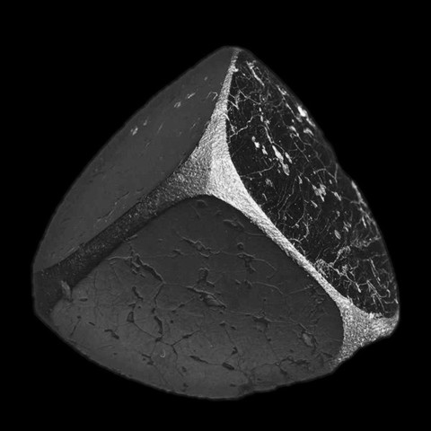 Jacobsite de 2 cm de Nordmark Odal Field, Filipstad, Suède © Joe Budd