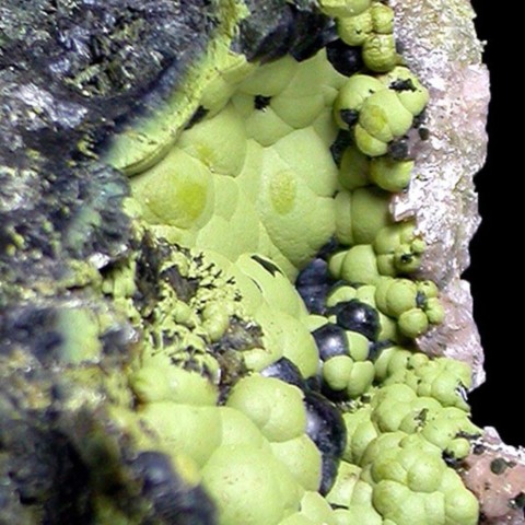 Mitridatite de Cigana claim, Barra do Cuieté, Minas Gerais, Brésil © Sergio Varvello