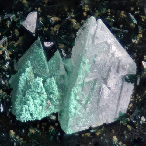 Nantokite partiellement décomposée en paratacamite des scories de Baratti, Toscane, Italie © Marco Bonifazi