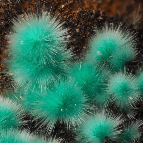 Mixite de Cap Garonne, Var, France © Christophe Boutry