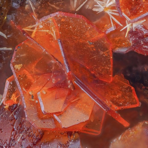 Masuyite de Shinkolobwe, Katanga, Rép. Démocratique du Congo © Christophe Boutry