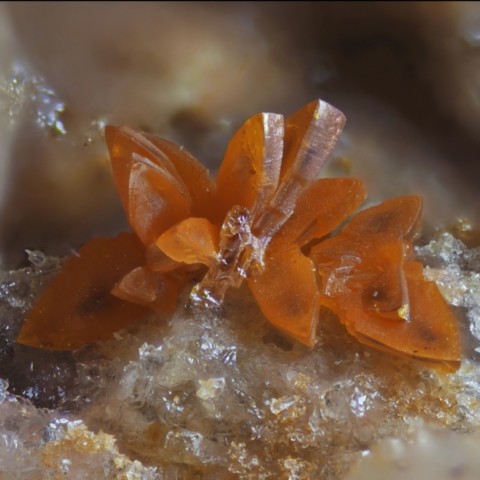 Bismutite de Hohenstein, Hesse, Allemagne © Uwe Haubenreisser