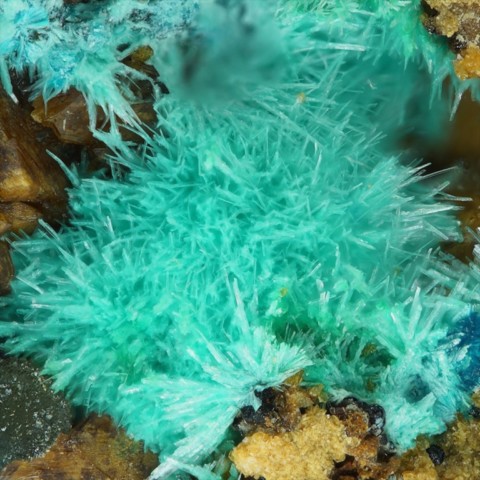 Strashimirite de Hilarion Mine, Kamariza, Laurion, Grèce © Stephan Wolfsried