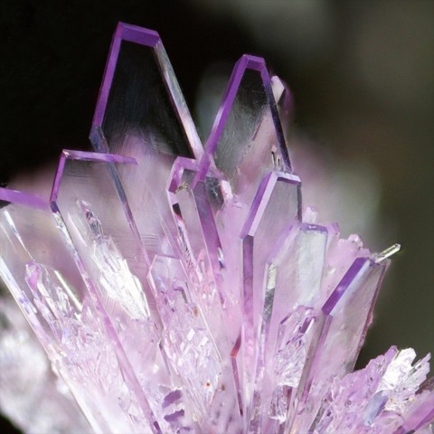 Strengite de Indian Mountain, Alabama, USA © Henry Barwood