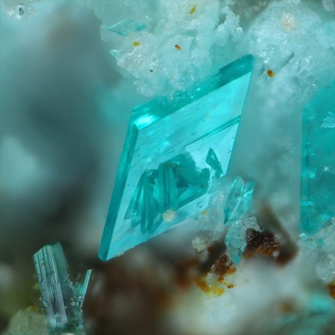 Nissonite de Boss Mine, Goodsprings, Nevada, USA © Marko Burkhardt