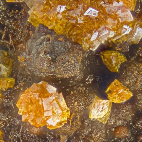 Natrojarosite de Kamariza Mines, Laurion, Grèce © Douglas Merson