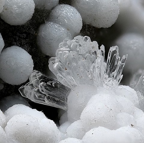 Brenkite et zeophyllite de Schellkopf, Brenk, Eifel, Allemagne © Volker Betz