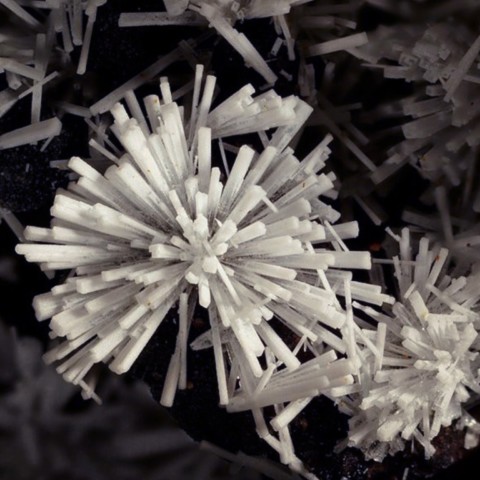 Crandallite de Tom's Quarry, Kapunda, Australie © Enrico Bonacina