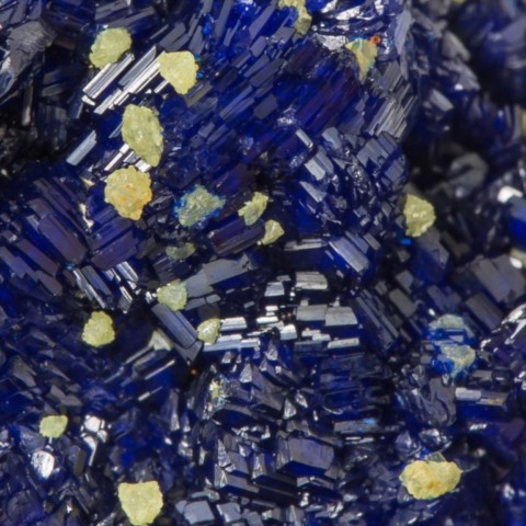 Miersite sur azurite de Rubtsovsk Mine, Russie © Jordy Fabre