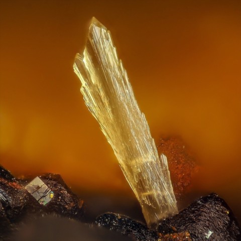 Rutherfordine de la mine de La Dorgissière, Deux-Sèvres, France © Jean-Marc Johannet