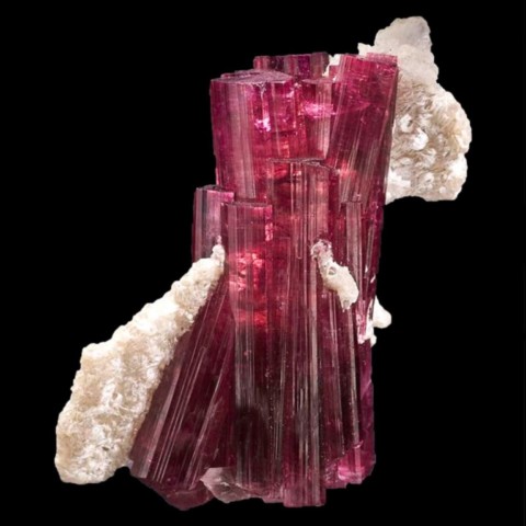 Rubellite de Jonas Mine, Minas Gerais, Brésil © Jeff Scovil