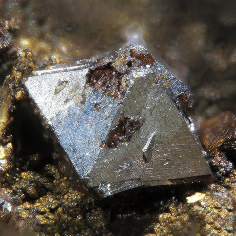 Polydymite de Grüneau Mine, Allemagne © Christian Rewitzer