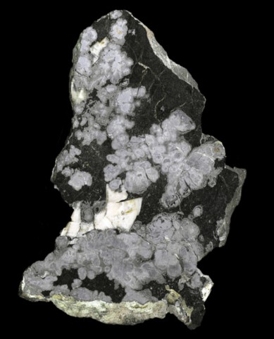 Rammelsbergite massive de la Mine Franklin, New Jersey, USA © Vandall Thomas King