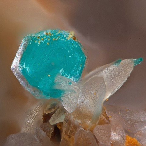 Schulenbergite sur smithsonite de la Mine Coulomier, Ariège, France © Philippe Font