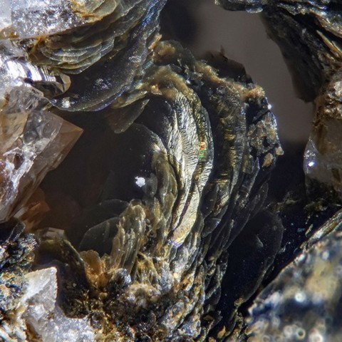 Stilpnomélane de la mine des Moulins, Valais, Suisse © Mischa Crumbach