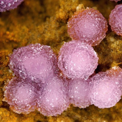 Strengite de Indian Mountain, Alabama, USA © Stephan Wolfsried