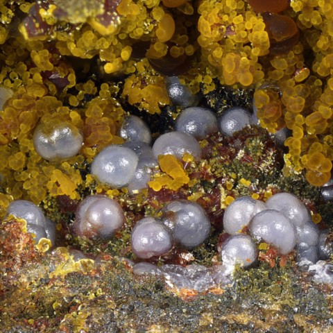 Strengite et cacoxénite de La Fumade, Tarn, France © Pascal Chollet