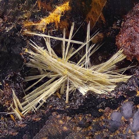 Strunzite des pegmatites d'Hagendorf, Allemagne © Volker Betz