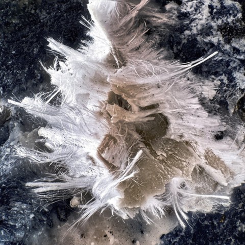 Szaibélyite de Brosso Mine, Piémont, Italie © Henry Minot