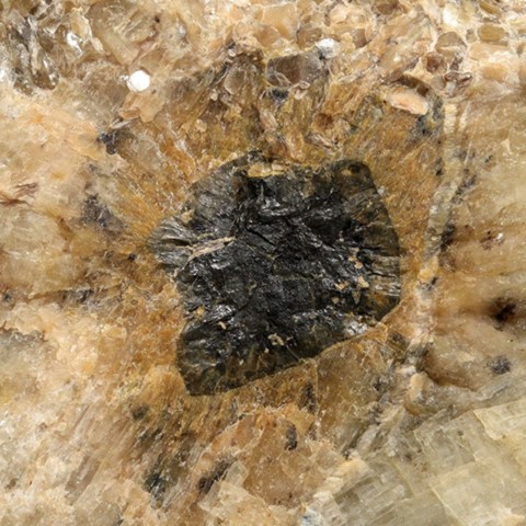 Thorite partiellement altérée en thorogummite de Sherrer Quarry, Pennsylvanie, USA © Harold Moritz