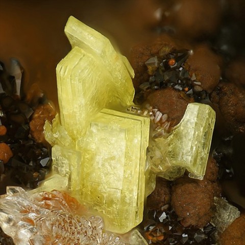 Trögerite de Adam Heber Mine, Schneeberg, Allemagne © Stephan Wolfsried