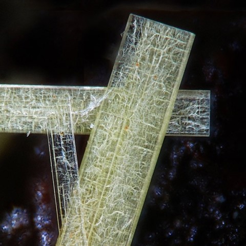 Uranospathite de Don Benito, Badajoz, Espagne © Christian Rewitzer