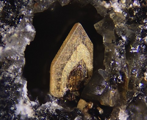 Wagnérite de Caspar Quarry, Ettringen, Eifel, Allemagne © Volker Betz