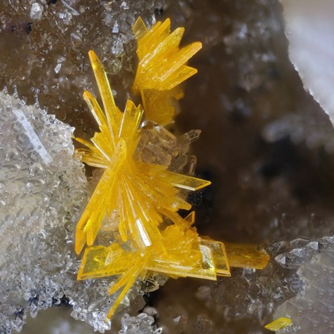 Walpurgite de Schmiedestollen dump, Wittichen, Allemagne © Uwe Haubenreisser