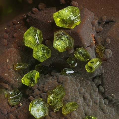 Weilerite de la mine Clara, Allemagne © Michael Förch