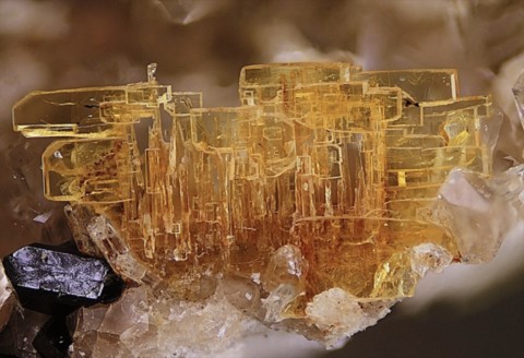 Wöhlérite de In den Dellen quarries, Eifel, Allemagne © Volker Betz