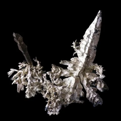 Natural native silver dendritic crystals