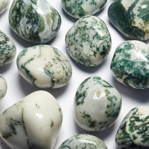 Dendritic Agate - Root Chakra - MULADHARA - Heart Chakra - ANAHATA - Plexus Solar Chakra - MANIPURA - Lungs, skin, nervous system, back, baldness, fluid retention, painkiller, jealousy, prosperity