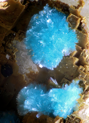 Aurichalcite de la Mine St-Nicolas, Steinbach, Haut-Rhin, France © Philippe Cayé