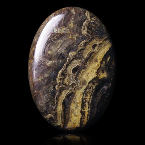 Stromatolite du Pérou en cabochon