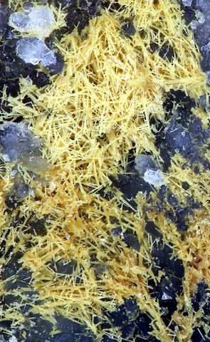 Bindheimite en pseudomorphose de boulangérite de Ludwig Mine, Fribourg, Allemagne © Joachim Esche