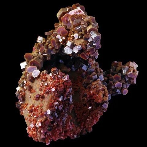 Vanadinite sur fossile de bivalve de Mibladen, Maroc