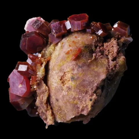 Vanadinite sur fossile de bivalve de Mibladen, Maroc