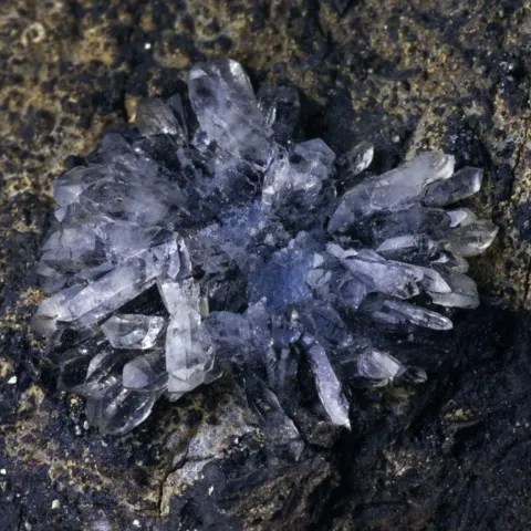 Fleur de lussatite de Pont-du-Château, Puy-de-Dôme, France