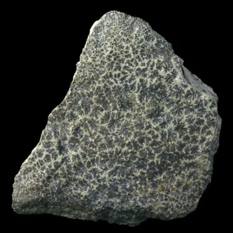 Pyrolusite sur aplite du Limousin, Haute-Vienne, France