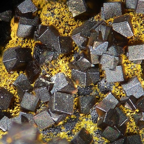 Corkite de Schöne Aussicht Mine, Allemagne © Stephan Wolfsried