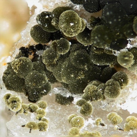 Frondelite de Foote Lithium Co. Mine, Caroline du Nord, USA © Stephan Wolfsried