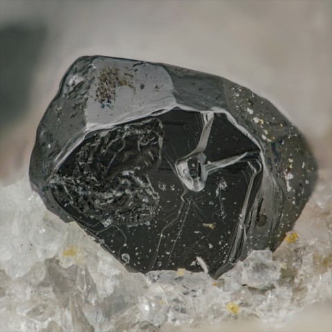 Geikiélite sur carbonatite de Malyi Murun Massif, Irkutsk Oblast, Russie © C. Boutry