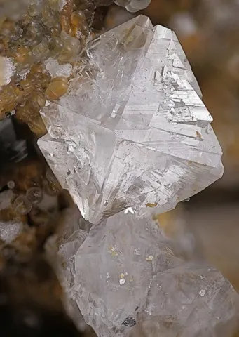 Gersdorffite de Aït Ahmane, Bou Azzer, Maroc © Marc Dolivet