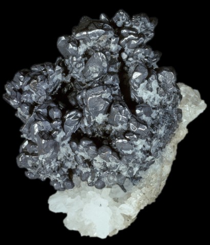 Hessite et quartz de 9 cm de Botesti, Zlatna, Roumanie © Rock Currier