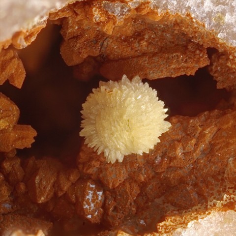 Leucophosphite d'Echassières, Allier, France © Yannick Vessely